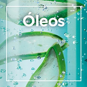 Capa Óleos | Garnier