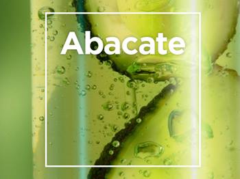 Banner Abacate | Garnier