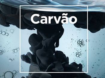 Banner Carvão Puro | Garnier