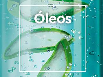 Banner Óleos | Garnier