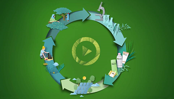 Cover Vídeo Green Beauty | Garnier