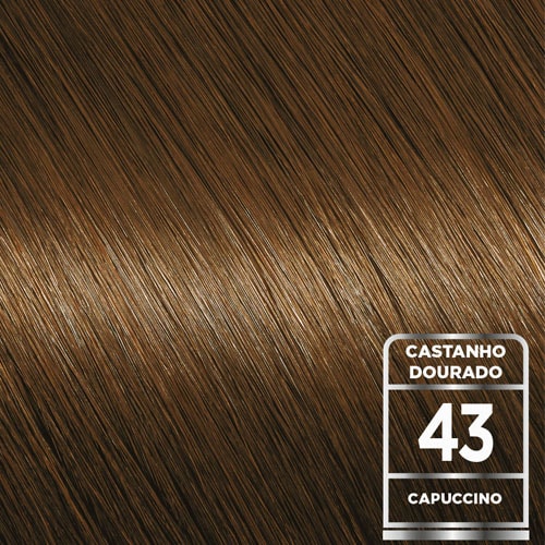 Capuccino 43 Castanho Dourado | Shade | Garnier