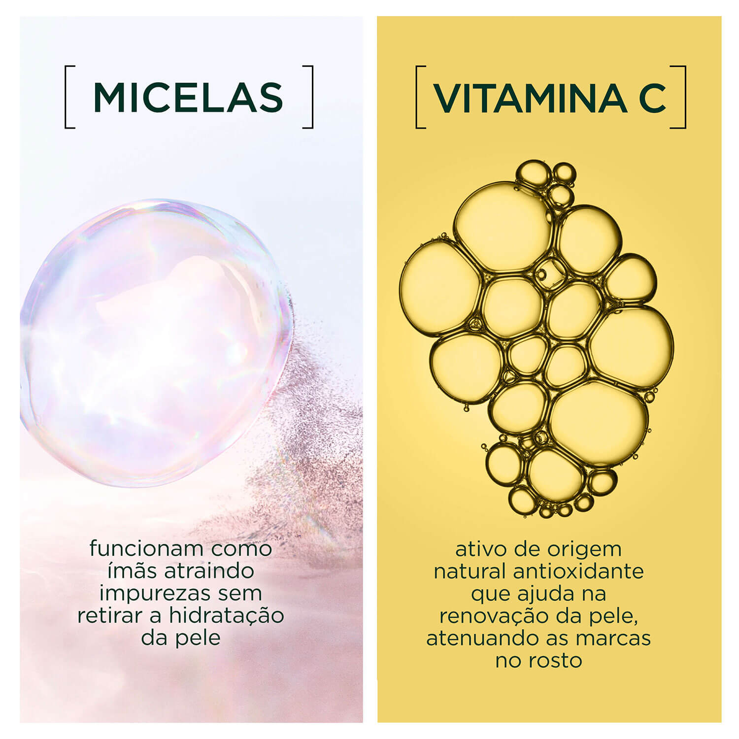 Imagem Água Micelar Antioleosidade com Vitamina C | Ingredientes | Garnier